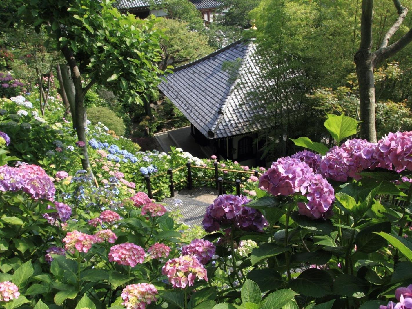 镰仓webase旅舍 度假村